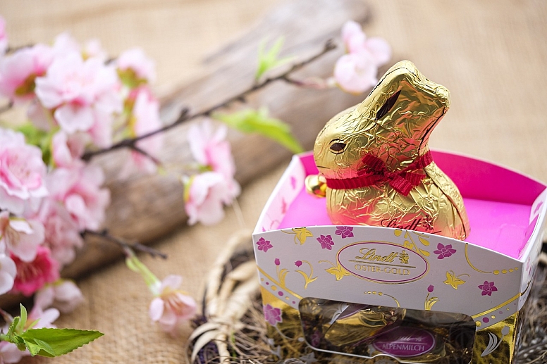 lindt chocolate bunny